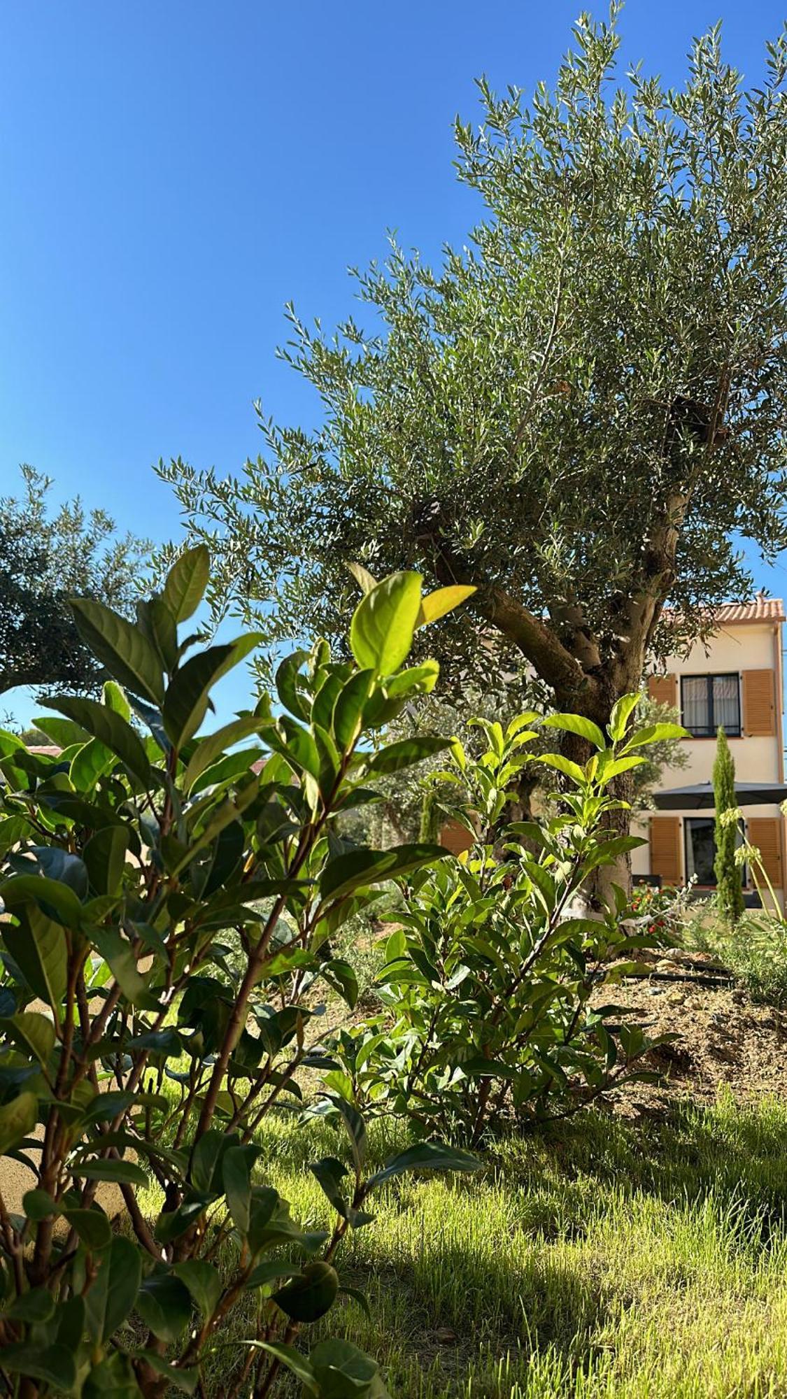 Residence Catalina Saint-Florent  Luaran gambar