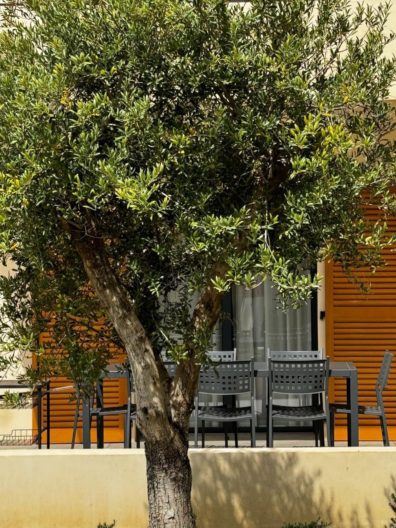 Residence Catalina Saint-Florent  Luaran gambar